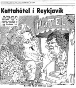 Kattahótel í Reykjavík - Sigmund