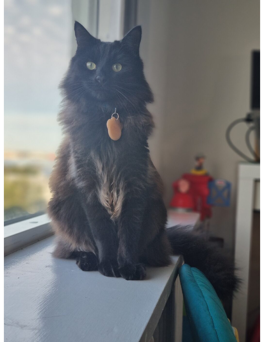 kisa