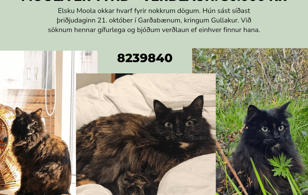 Moola er týnd- 210 Garðabær