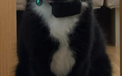 Esco er týndur-870 Vík í Mýrdal