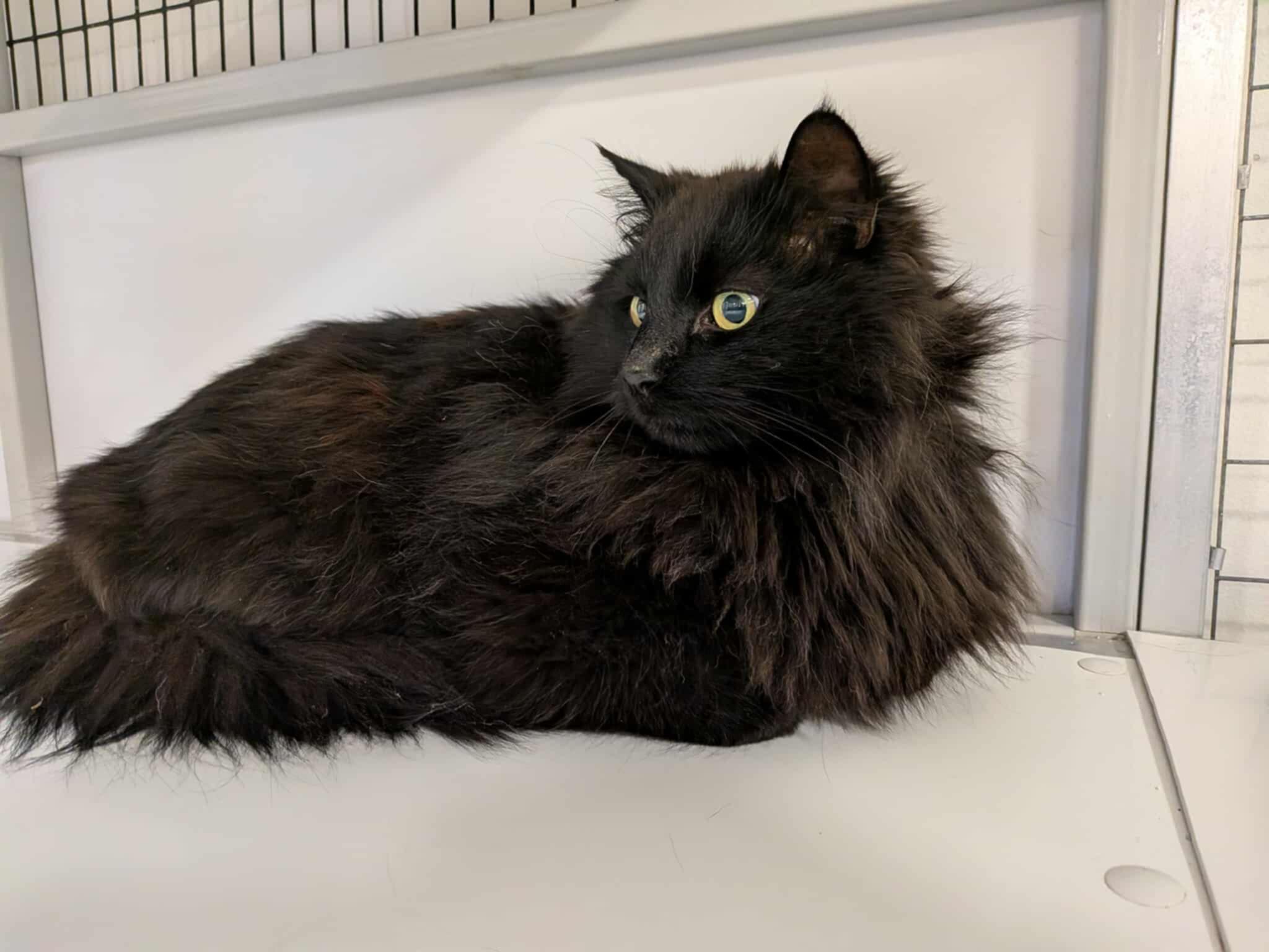 277a6c05-a82d-4f24-b7b2-c9b9d465723d