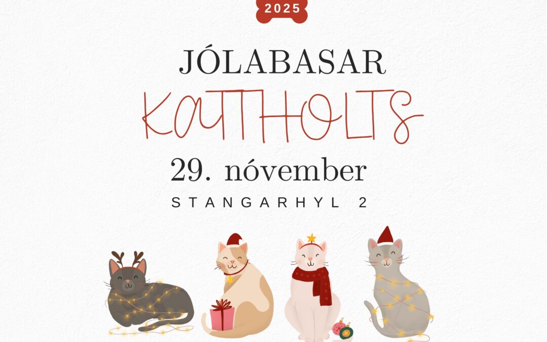 Jólabasar Kattholts