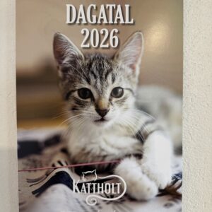 Veggdagatal 2026