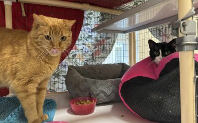 Ómar og Snúlli 4 og 6 ára -Útikettir