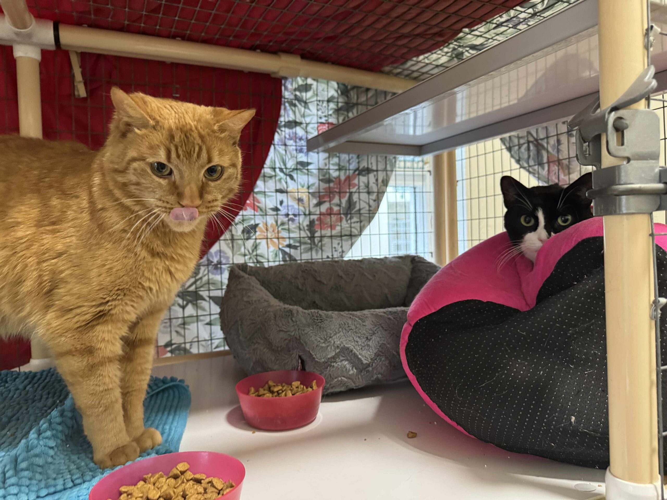 0ff52cb1-7dfc-4f53-ae56-afc7504c2269 (1)