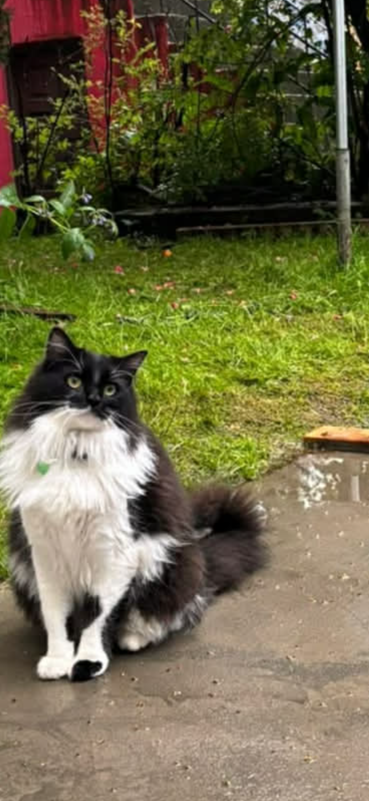 IMG_2877-1882e4307804536254f9f3f98fb575ca