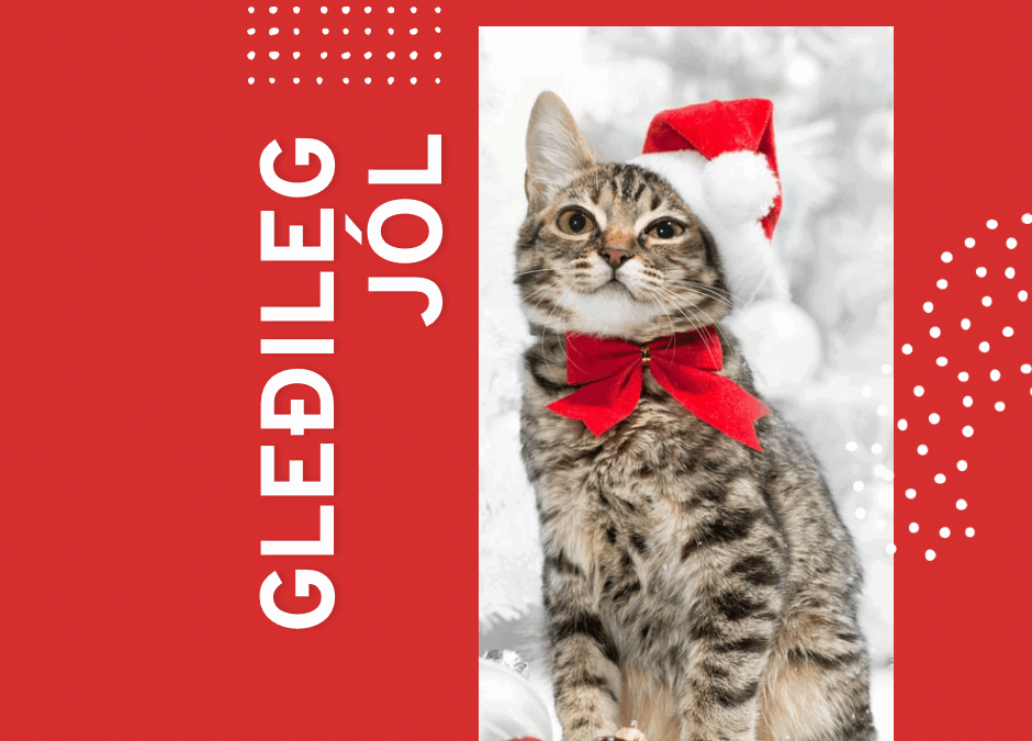 Kisurnar komnar í jólafrí