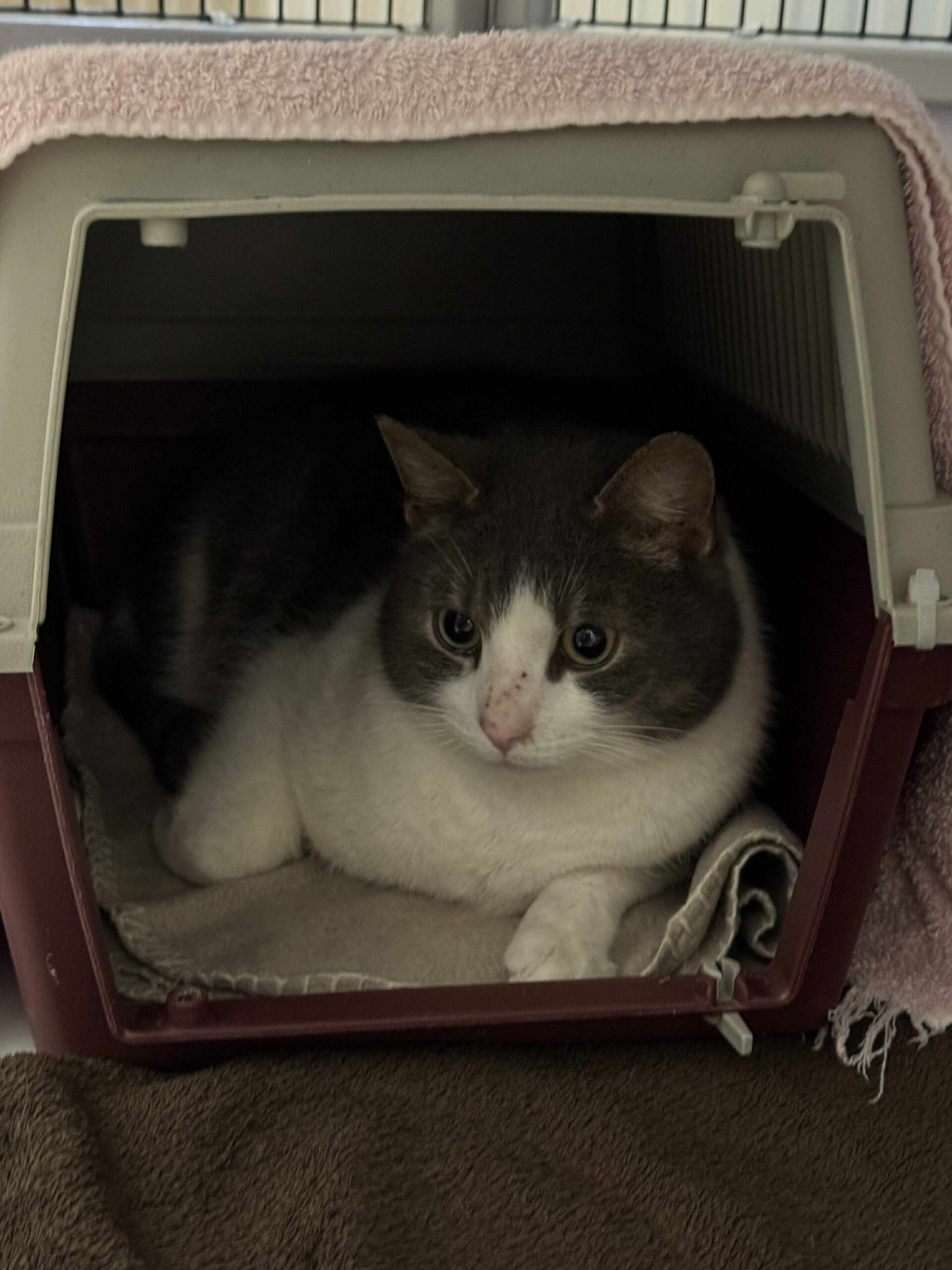 eb8e34f7-064c-4cc0-aef1-6f66d24f4502